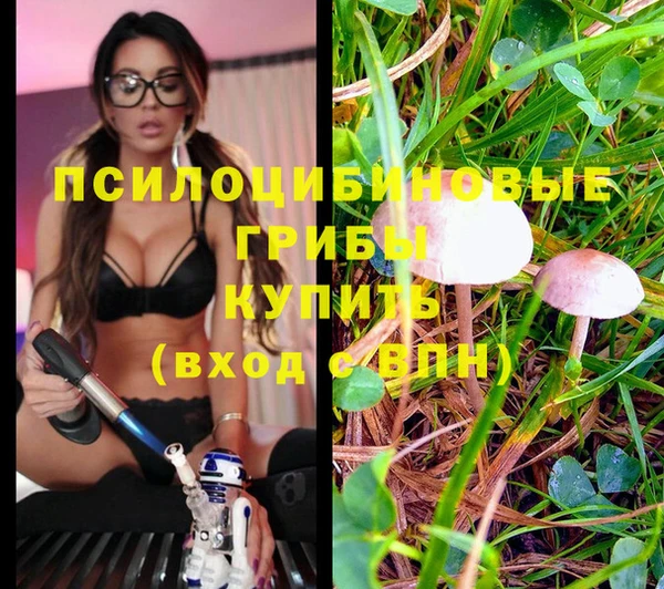 COCAINE Алзамай
