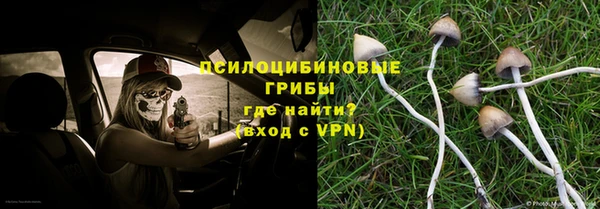 амф Алексеевка