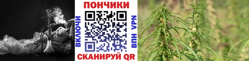 Канабис Amnesia  где купить наркоту  Алагир 